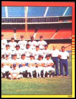 256 Dodgers Team World Champions (Right half photo)